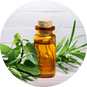 Tea Tree Oil